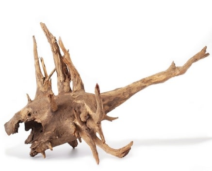 Galapagos Hollow Tree Root, Driftwood, Natural, 12-16in