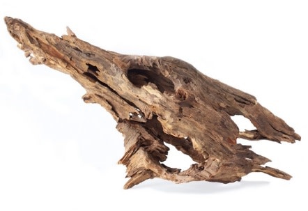 Galapagos Hollow Tree Root, Driftwood, Natural, 12-16in