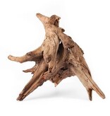 Galapagos Hollow Tree Root, Driftwood, Natural, 12-16in