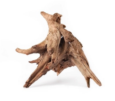 Galapagos Hollow Tree Root, Driftwood, Natural, 12-16in
