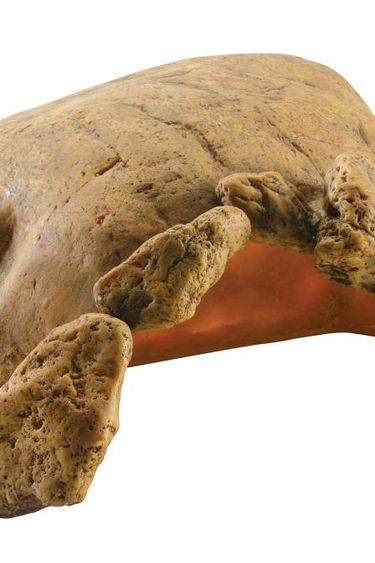 Exoterra EXO TERRA PT2922 Grotte pour tortue terrestre/gros reptile