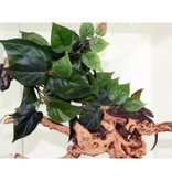 Pet-Tekk PET-TEKK PT-1421 Feuilles de jungle Large