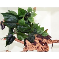 Pet-Tekk PET-TEKK PT-1421 Feuilles de jungle Large