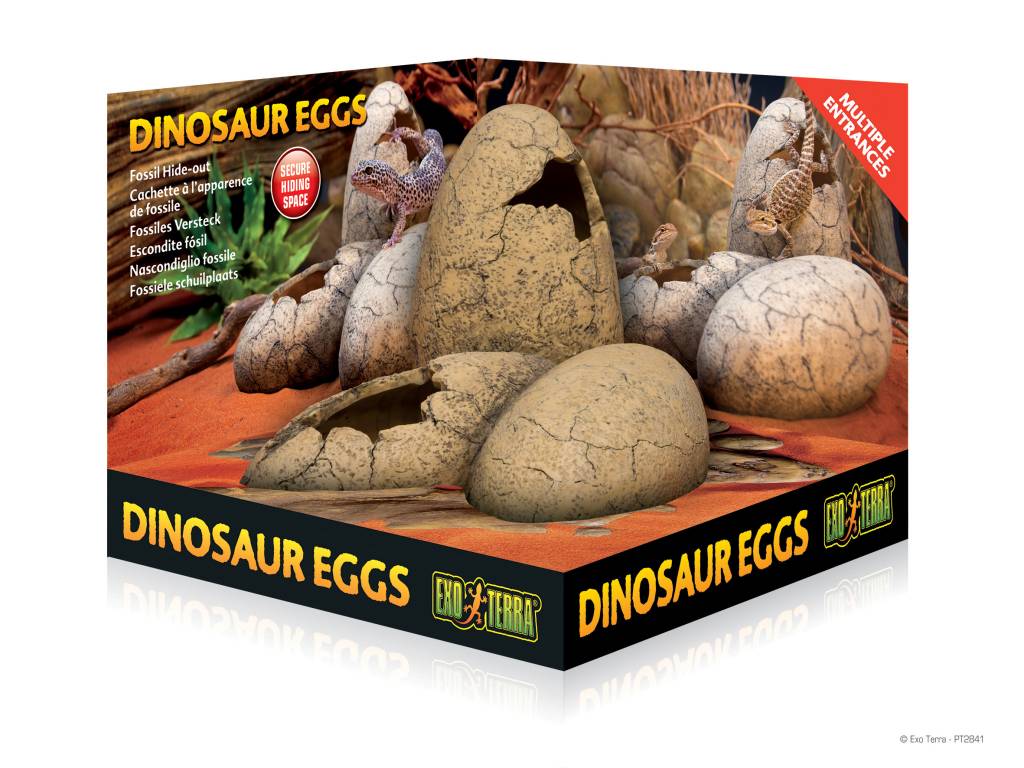 Exoterra Dinosaur Eggs