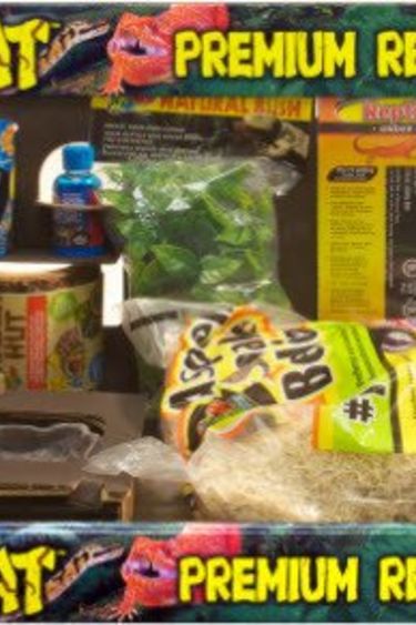 Zoomed ZOO MED Z964 Ensemble ReptiHabitat pour serpent 30X12X12" NT-S21