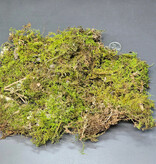 La Swamp Dried Moss from Canada 1oz