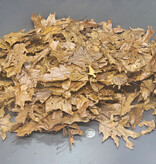 La Swamp LA SWAMP 1451 Feuilles de chênes et d'érables 3oz