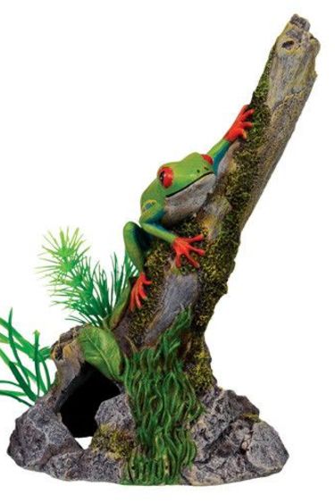 Treasures underwater Tree frog on a branch