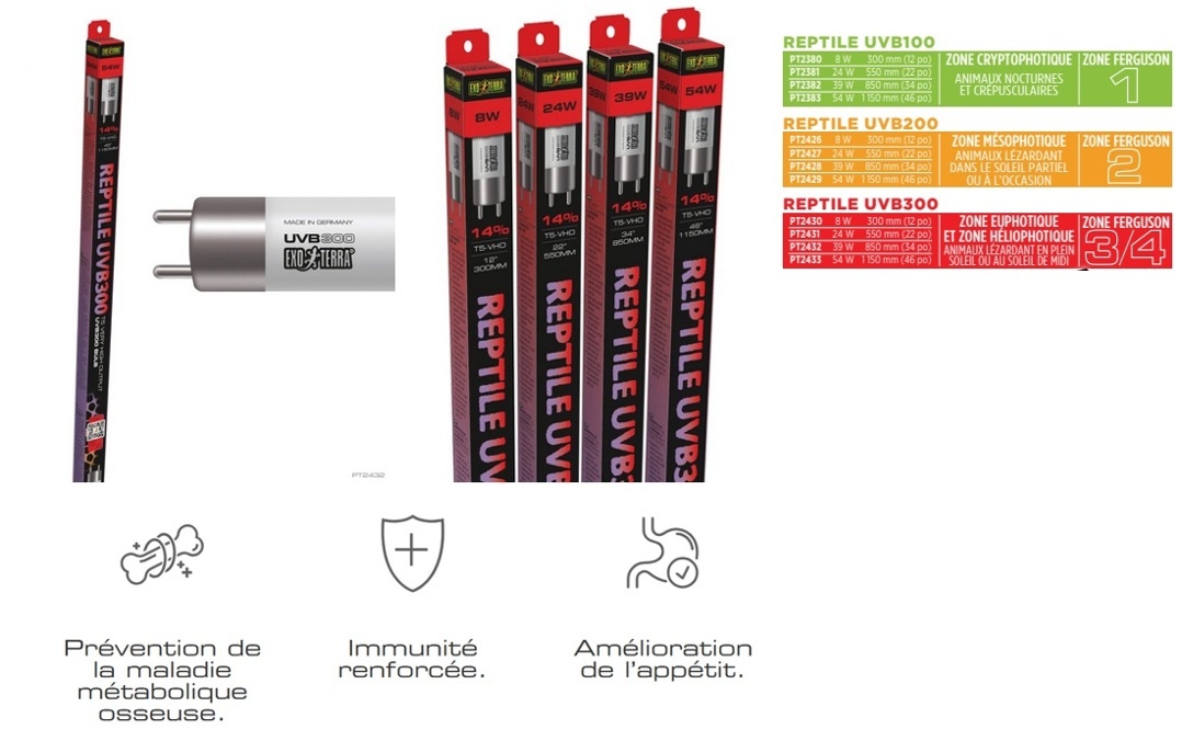 Exoterra EXO TERRA Ampoule linéaire T5 Reptile UVB300 à rendement très élevé