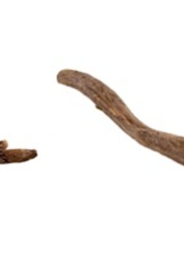 Treasures underwater UNDERWATER TREASURES Racine de Kapas