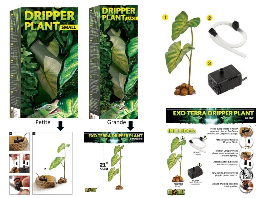 Exoterra EXO TERRA Plante à ruissellement