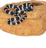 ReptiZoo REPTIZOO Grotte d'attraction magnétique 3 en 1