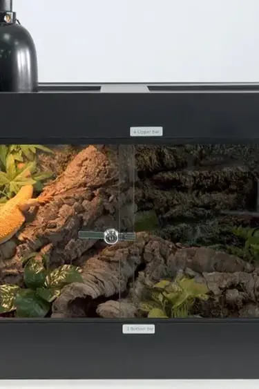 ReptiZoo REPTIZOO Terrarium en PVC pour reptiles de haute qualité noir