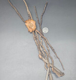 La Swamp LA SWAMP 1512 Tiges de cocotier (6x)