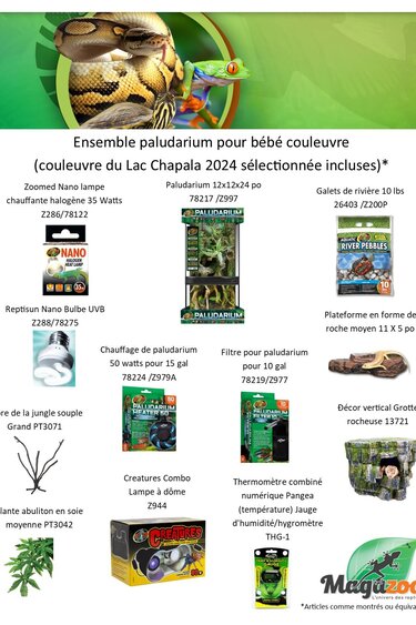 Magazoo Baby Snake Paludarium kit (selected 2024 Lake Chapala Snake included)