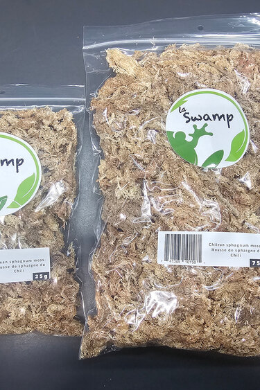 La Swamp Chilean sphagnum moss