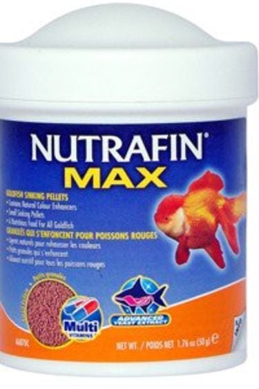 Nutrafin Granules pour petits poissons rouges