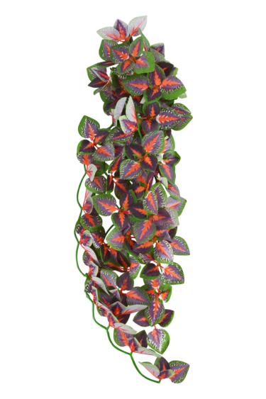 Reptiles treasures Red Angel Plant - 24in