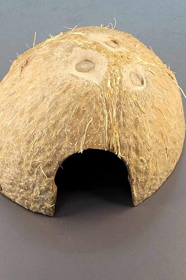 La Swamp Coconut hut
