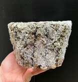 Magazoo Cache-pot 'Féérique'