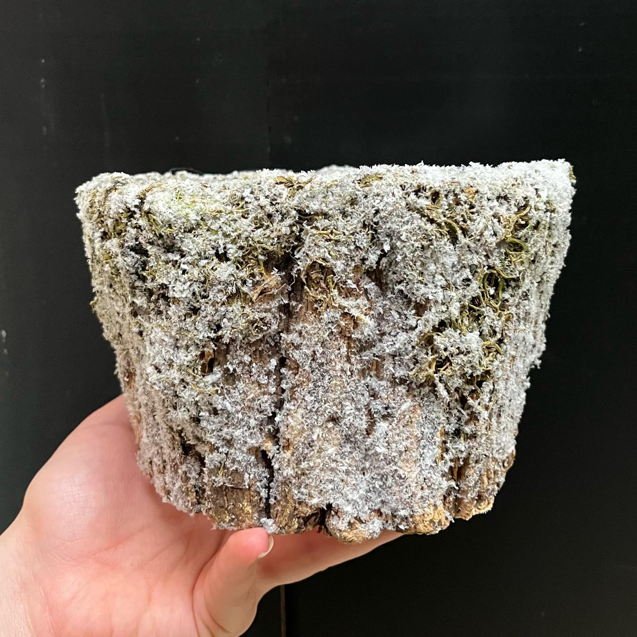 Magazoo Cache-pot 'Féérique'