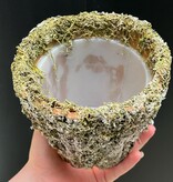 Magazoo Cache-pot 'Féérique'