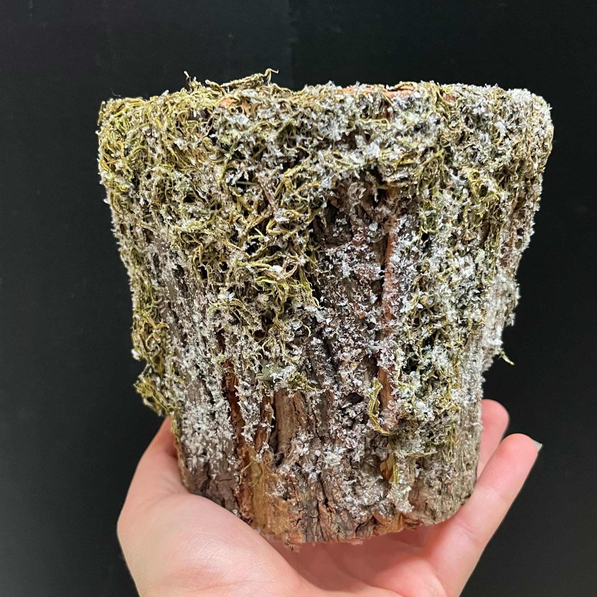 Magazoo Cache-pot 'Féérique'