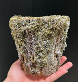 Magazoo Cache-pot 'Féérique'