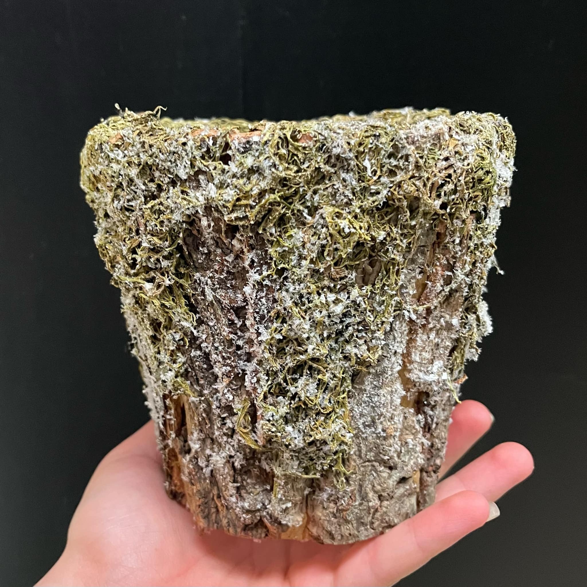 Magazoo Cache-pot 'Féérique'