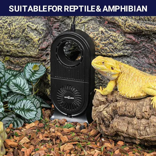 ReptiZoo Reptile Timing Air Purifier (4-Stage)