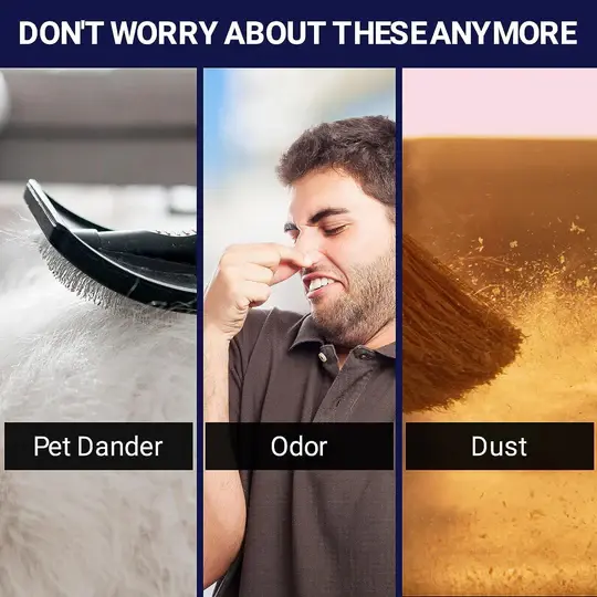 ReptiZoo Reptile Timing Air Purifier (4-Stage)