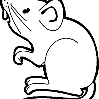 Magazoo Live rat by weight