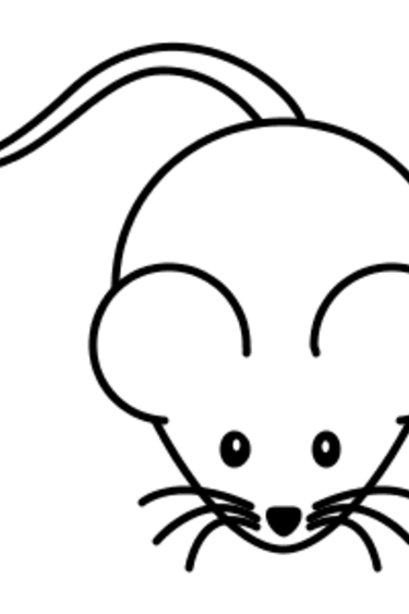 Magazoo Souris congelée