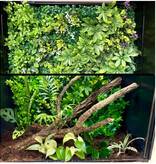 All things reptile ATR Naturalistic Terrarium Background