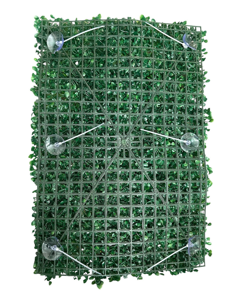 All things reptile ATR Arrière-plan naturaliste