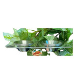 NewCal Pets 1.5oz Stainless Steel Feeding Cup