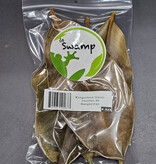 La Swamp LA SWAMP Mangosteen leaves