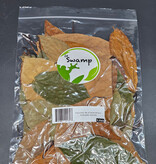 La Swamp LA SWAMP Feuilles d'avocatier