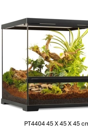 Exoterra EXO TERRA Professional Terrarium, Advanced Natural Habitat 45 cm