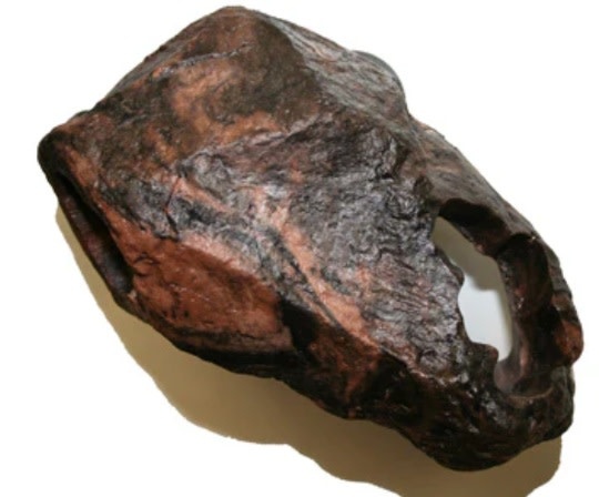 Pet-Tekk PET-TEKK Refuge