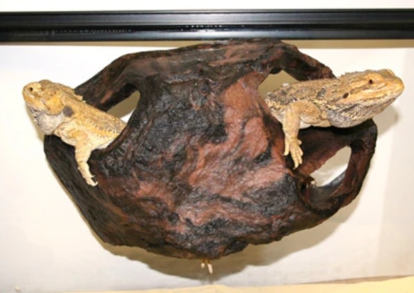 Pet-Tekk PET-TEKK Refuge