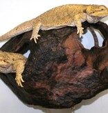 Pet-Tekk PET-TEKK Refuge