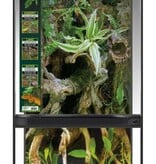 Zoomed Zoomed  Paludarium