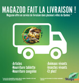 Magazoo delivery by region