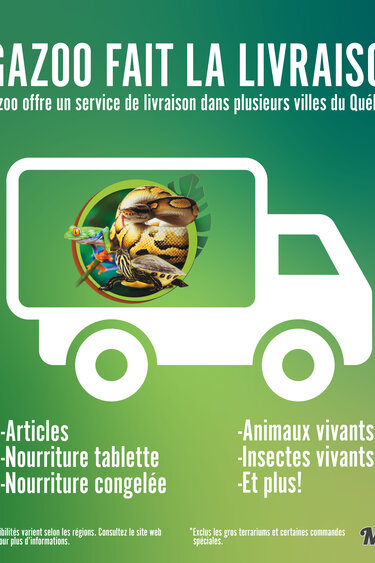 Livraison Magazoo par région