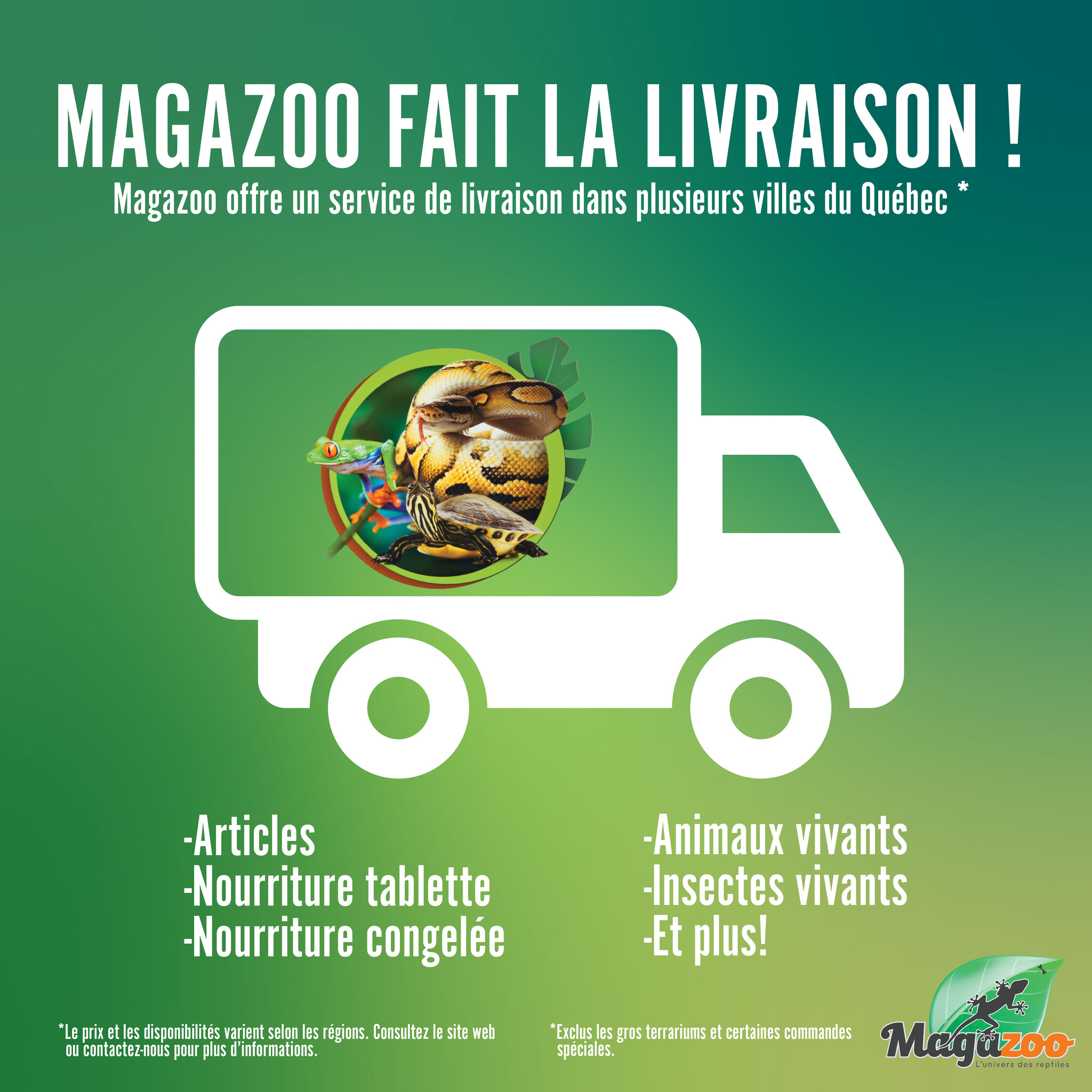 Magazoo delivery by region