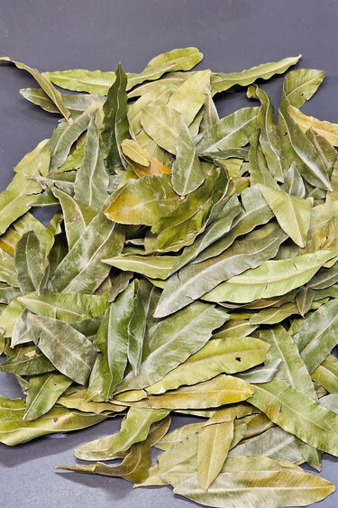 La Swamp LA SWAMP LEAF-THI-1 Feuilles de Palmier de Thika 1oz/ Thika palm leaves 1oz