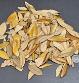 La Swamp LA SWAMP Feuilles de chêne de Virginie