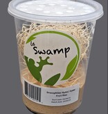 La Swamp  Cultivated Fruit Fly/Fruit Flies Drosophila Hydei