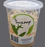 La Swamp Culture de mouche à fruit/Fruit Flies   Drosophila Melanogaster